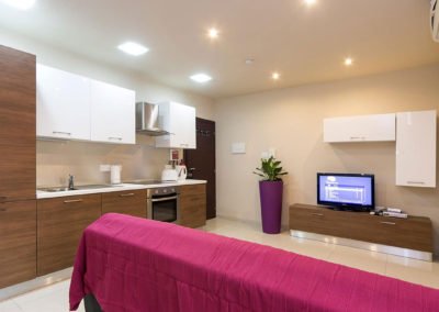 Plum-One-Bedroom Apartment